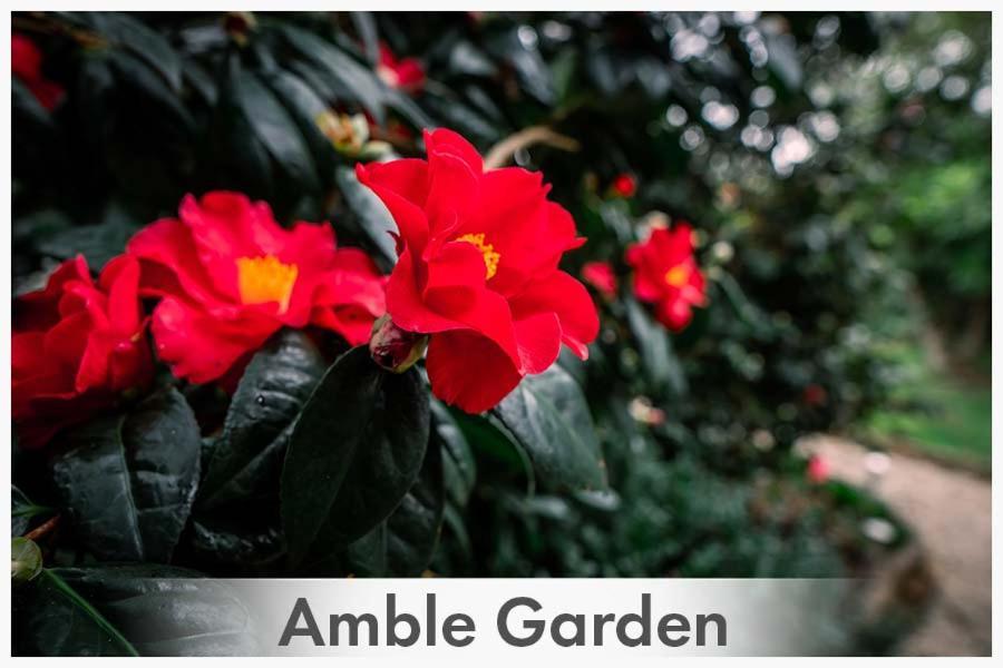 Amble at Hahndorf Bed and Breakfast Eksteriør billede