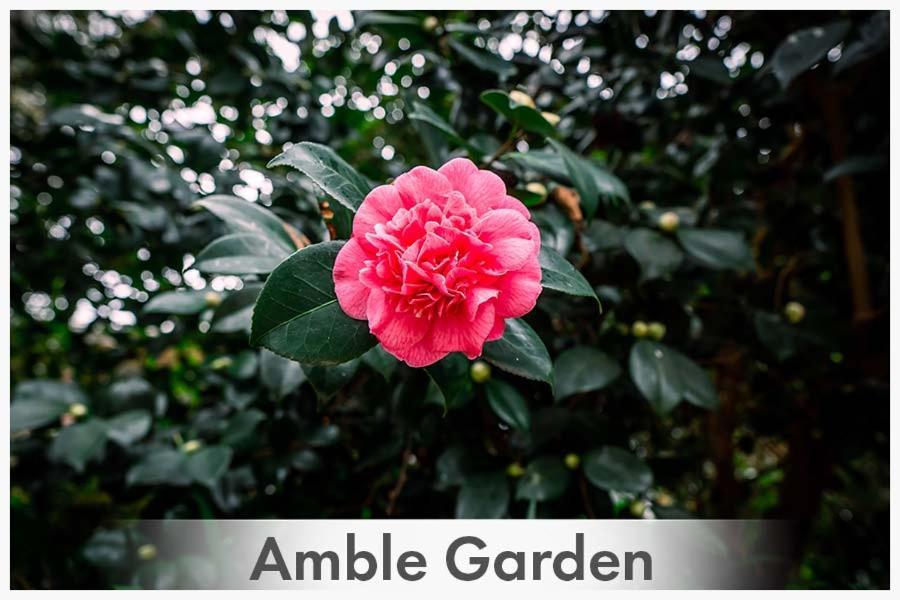 Amble at Hahndorf Bed and Breakfast Eksteriør billede