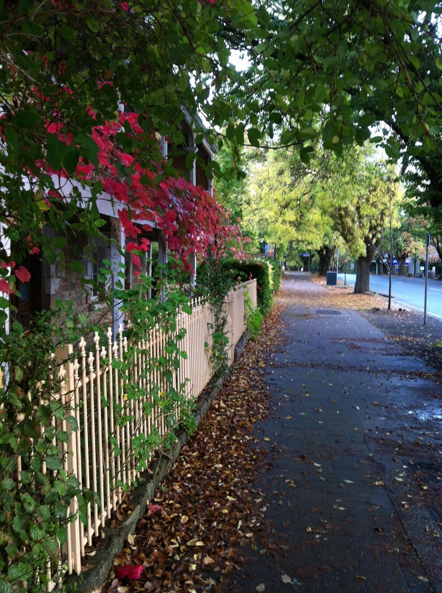 Amble at Hahndorf Bed and Breakfast Eksteriør billede